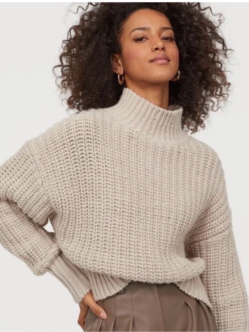 H&M Chunky Knit Turtleneck Boxy Sweater